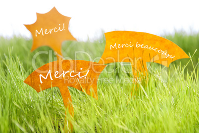 Three Labels With French Merci Which Means Thank You On Grass