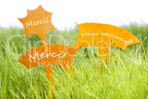 Three Labels With French Merci Which Means Thank You On Grass