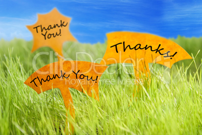 Three Labels With Thank You And Thanks And Blue Sky
