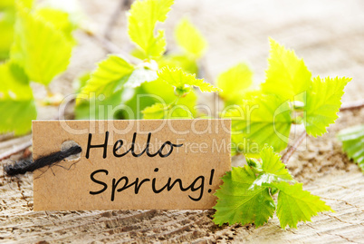 Brown Label With Hello Spring And Green Branches