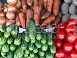 integers different fresh vegetables on the counter close-up