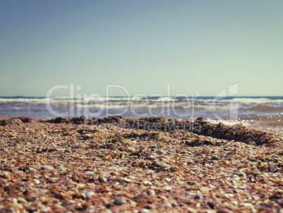 marine shelly beach in summer sunlight