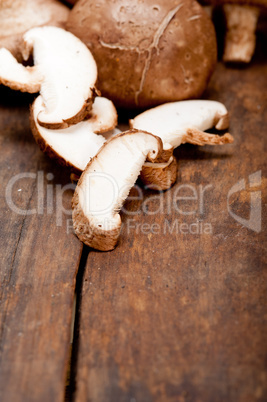 shiitake mushrooms shiitake mushrooms
