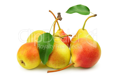 collection pears