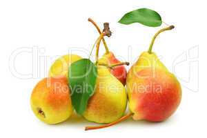 collection pears