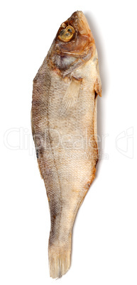 Dried roach isolated on white background