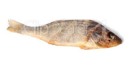 Dry roach isolated on white background