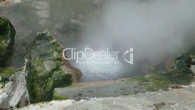 Hot Springs Geyser Closeup, Furnas, Azores, Portugal