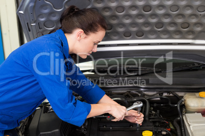 Mechanic working under the hood