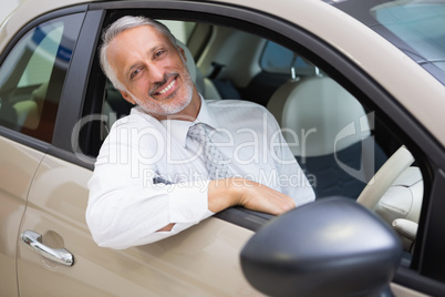 Smiling businessman sitting at the wheel of a car for sale
