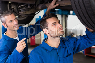 Team of mechanics working together