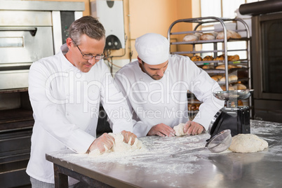 Focused bakers kneading dough at counter