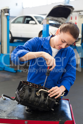 Mechanic working on an engine