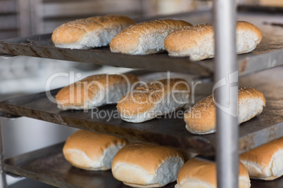 Tray of rolls on rack