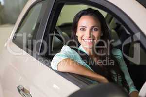 Smiling woman sitting at the wheel of her new car