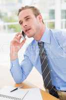 Attentively businessman speaking on the phone