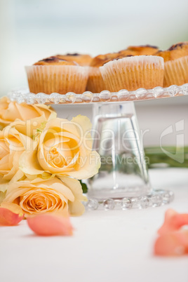 Close up of romantic breakfast