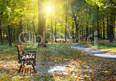 beautiful autumn park with paths and benches