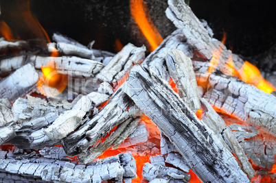 bonfire, fire, wood coal and ash