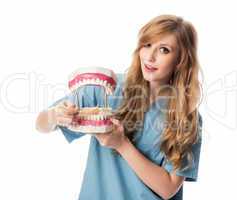 Zahnarzthelferin mit Zahnmodell