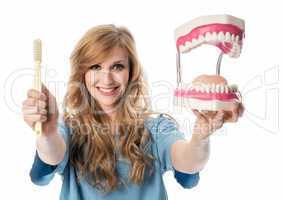 Zahnarzthelferin mit Zahnmodell