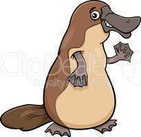 platypus animal cartoon illustartion