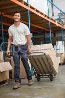 Warehouse worker moving boxes on trolley