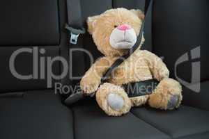 Teddy bear strapped in with seat belt