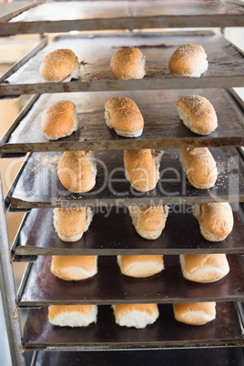 Bread rolls on trays of shelf