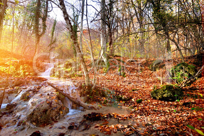 Mountain creek Mountain creek