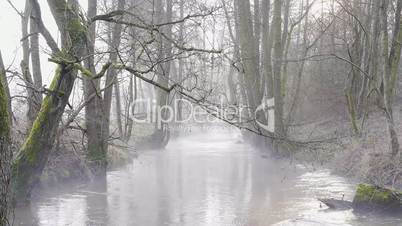 Nebel am Bach