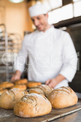 Happy baker taking out fresh bagels