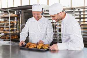 Smiling bakers looking trays of croissants