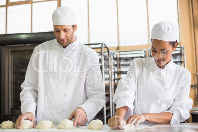 Team of bakers preparing dough