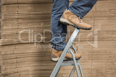 Worker on ladder in warehouse