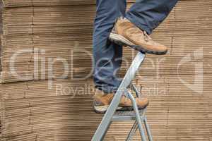 Worker on ladder in warehouse