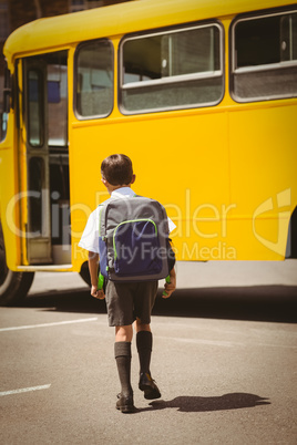 Cute pupil walking to the school bus