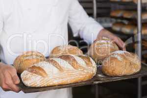 Baker holding tray of bread