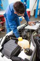 Mechanic using laptop on car