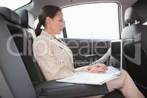 Concentrated businesswoman working in the back seat