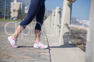 Fit woman standing on the pier