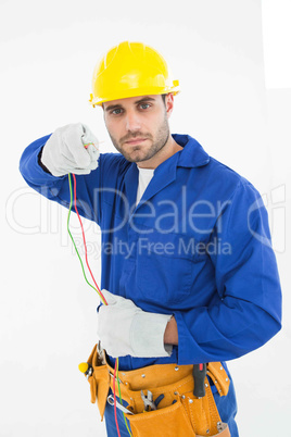 Confident repairman holding cables