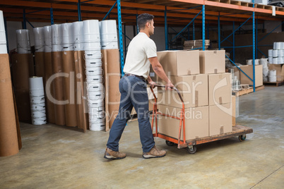 Worker pushing trolley with boxes