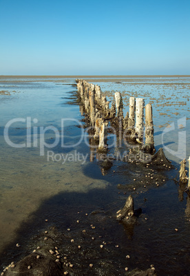 wooden breakwater