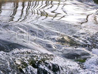 Wasserfall an Elsava