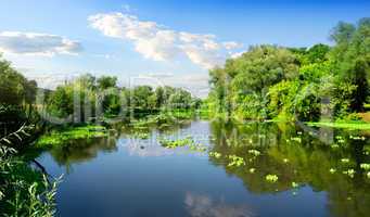 River and summer