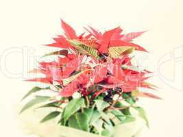 Poinsettia Christmas star