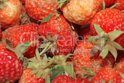 Fresh ripe muddy strawberries