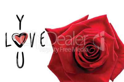 Composite image of red rose