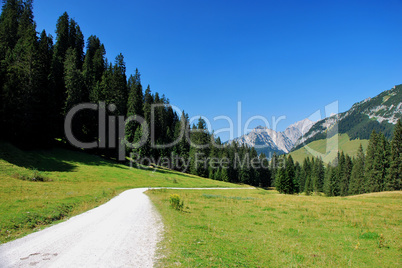 weg in der berglandschaft